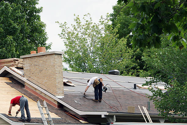 Best Gutter Installation and Roofing  in St Paul, VA