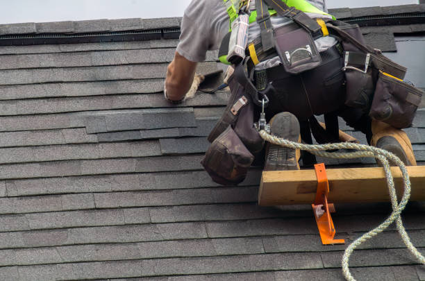 Best Roof Gutter Cleaning  in St Paul, VA