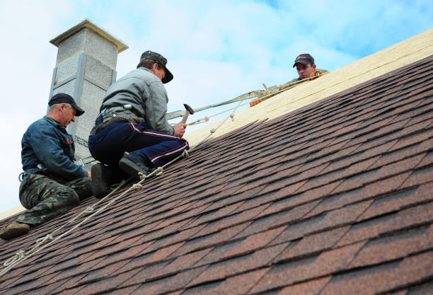 Best Roofing Contractor Near Me  in St Paul, VA